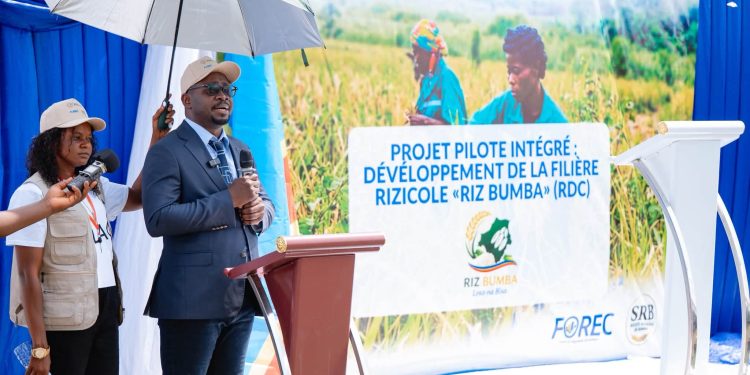 Mongala : Lancement du projet stratégique de relance de la filière rizicole « Riz Bumba »