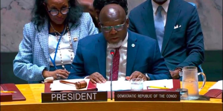 Conseil de sécurité : la RDC réaffirme son engagement pour la paix et la dignité humaine en Syrie