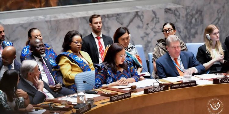 Conseil de sécurité de l’ONU : la gouvernance des ressources naturelles au cœur d’un débat de haut niveau
