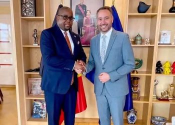 RDC : Kinshasa signe un protocole de désarmement avec la branche politique des FDLR