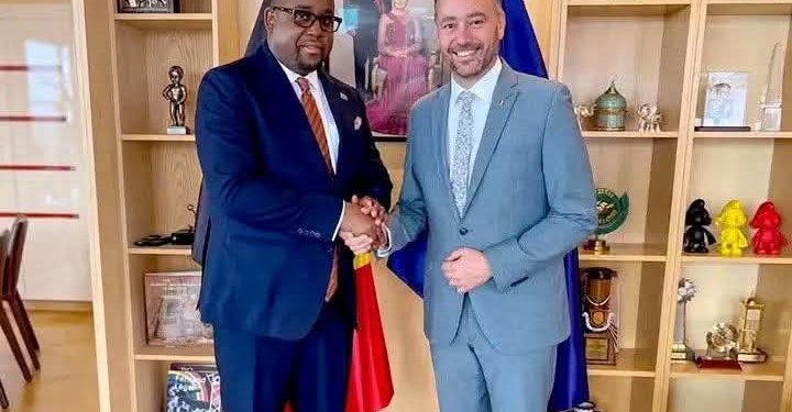 RDC : Kinshasa signe un protocole de désarmement avec la branche politique des FDLR