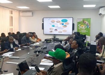 Assainissement à Kinshasa : le projet SAP-Salongo forme 120 animateurs locaux