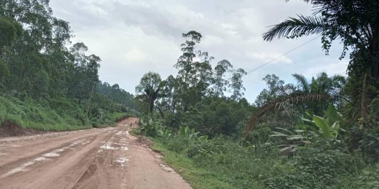 Walikale : le trafic reprend, mais l’insécurité continue de peser sur les populations