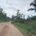 Walikale : le trafic reprend, mais l’insécurité continue de peser sur les populations