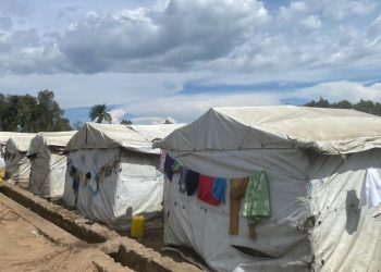 Ituri : une opération de bouclage à Kigonze tourne à l’affrontement