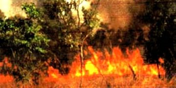 Sud-Kivu : un incendie détruit une vingtaine d’hectares de végétation à Nyabibwe