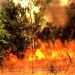 Sud-Kivu : un incendie détruit une vingtaine d’hectares de végétation à Nyabibwe