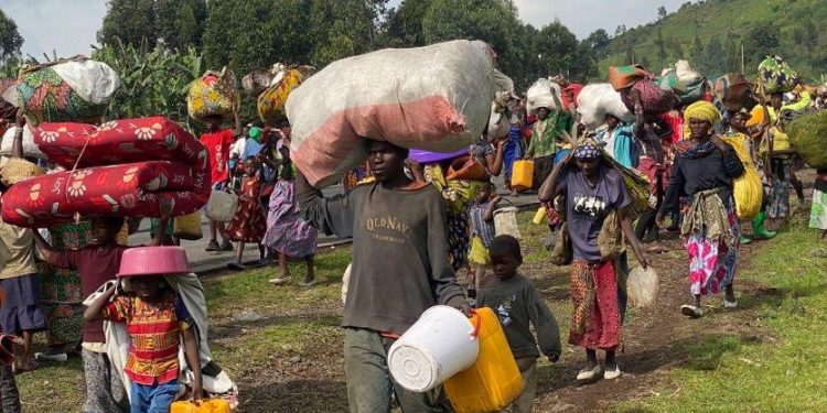 Djugu : plus de 5 000 personnes déplacées après une nouvelle vague de violences(OCHA)